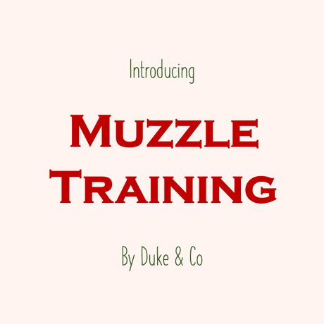 Muzzles - Who's more scared of who?