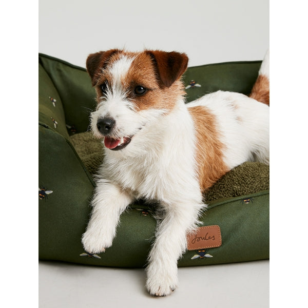 Dog sat up in Joules Box Bed