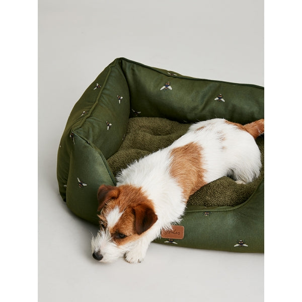 Dog lounging in Joules Box Bed