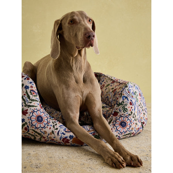 Weimaraner laying on Joules Festival Floral Box Bed