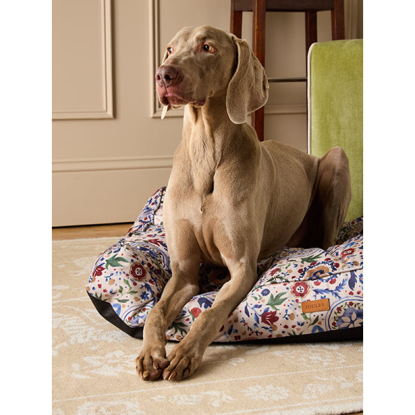 Weimaraner laying on Joules Festival Floral Mattress