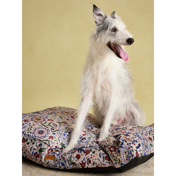 Lurcher sat on Joules Festival Floral Mattress