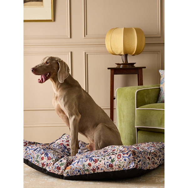 Weimaraner sitting on Joules Festival Floral Mattress