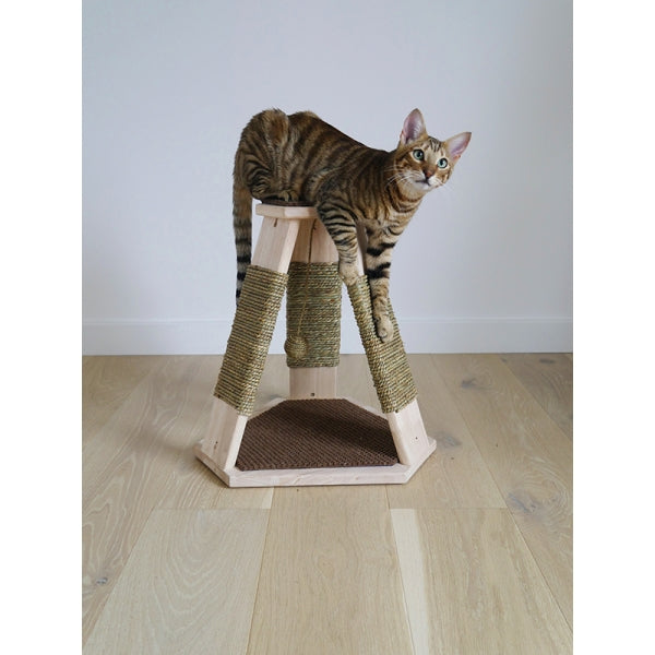 Cat using Caraway Cat Scratcher