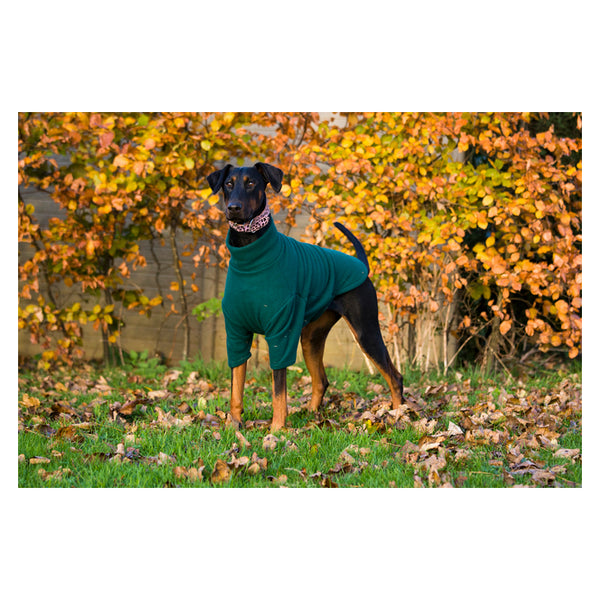 Cameo Cosy Fleece Jumper in Hunter Green