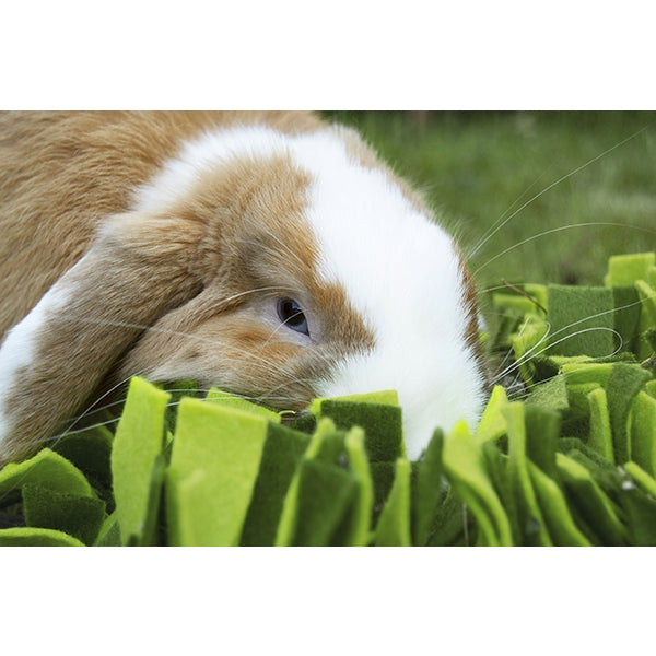 Close up of rabbit playing with Snuffle Forage Mat for Small Animals