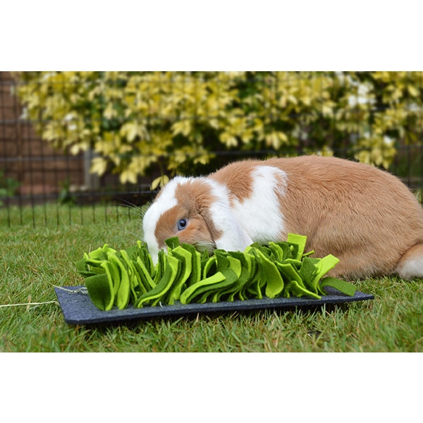 Rabbit playing with Snuffle Forage Mat for Small Animals