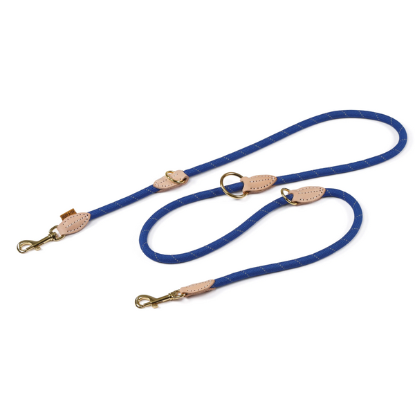 Digby & Fox Reflective Training Lead in royal blue