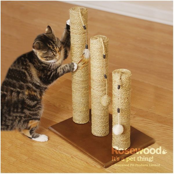 Cat playing with Tarragon Cat Scratcher