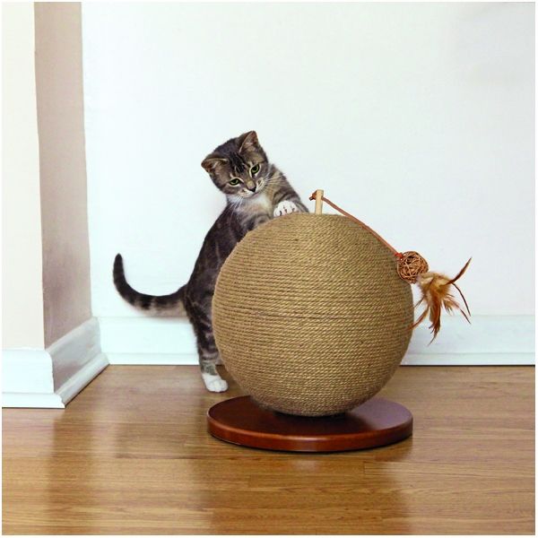 Cat playing with Parsley Cat Scratcher