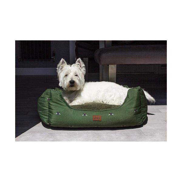 Dog laying in Joules Box Bed
