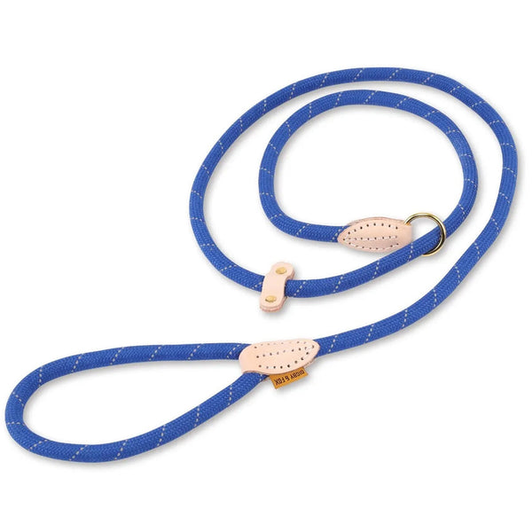 Digby & Fox Reflective Slip Dog Lead in royal blue