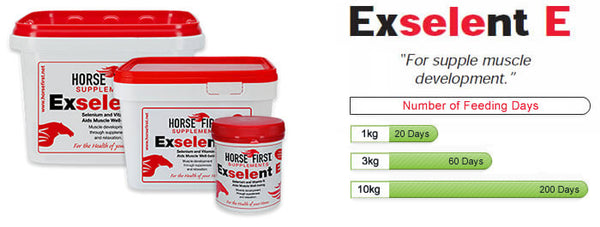 Horse First - Exselent E