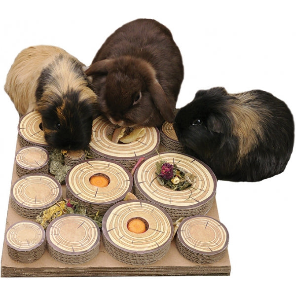 Rabbit and Guinea pigs foraging on Maze-A-Log Treat Challenge