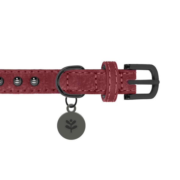 Sotnos Oxblood Studded Dog Collar