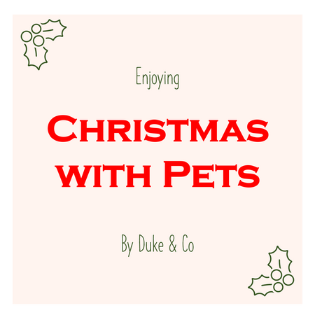 Enjoying Christmas with Pets!