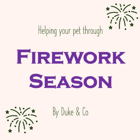 Helping your Pet through Firework Season