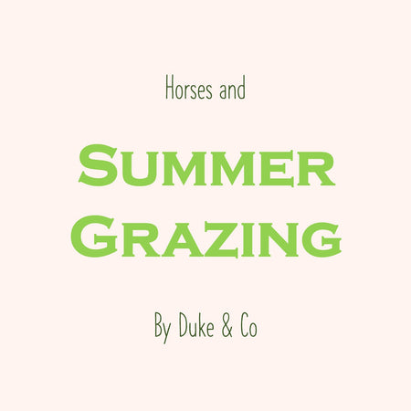 Horses and Summer Grazing