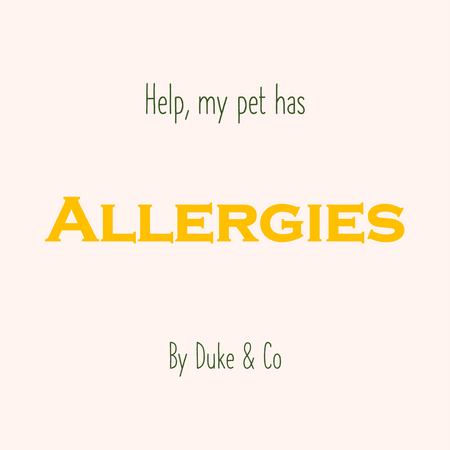My Pet has Allergies... Now What?