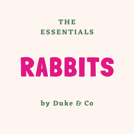 Rabbit Essentials For First Time Owners