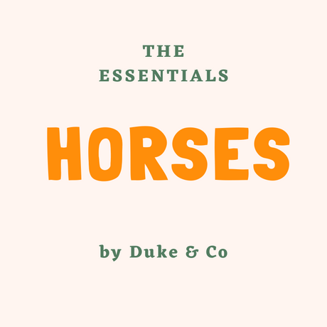 Horse Essentials For First Time Owners
