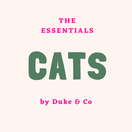 Cat Essentials For First Time Owners