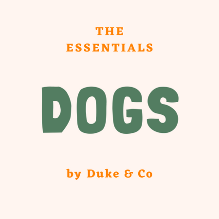 Dog Essentials For First Time Owners
