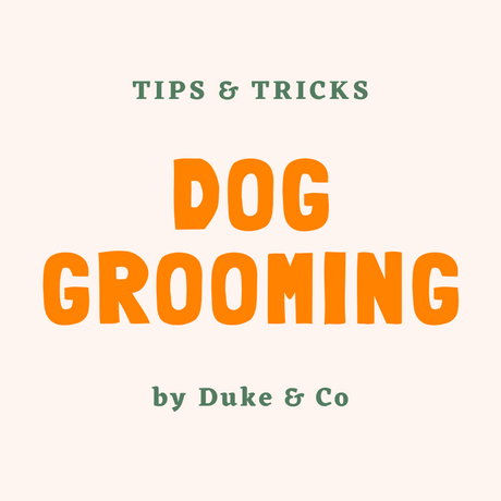 Dog Grooming - Tips and Tricks