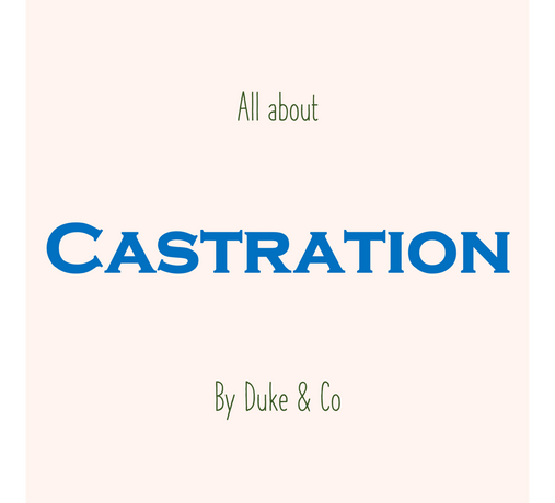 All About Castration