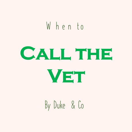 When to Call the Vet