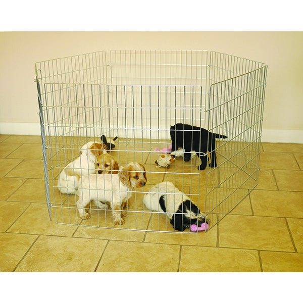 Puppies in Hexagon Play Pen indoors