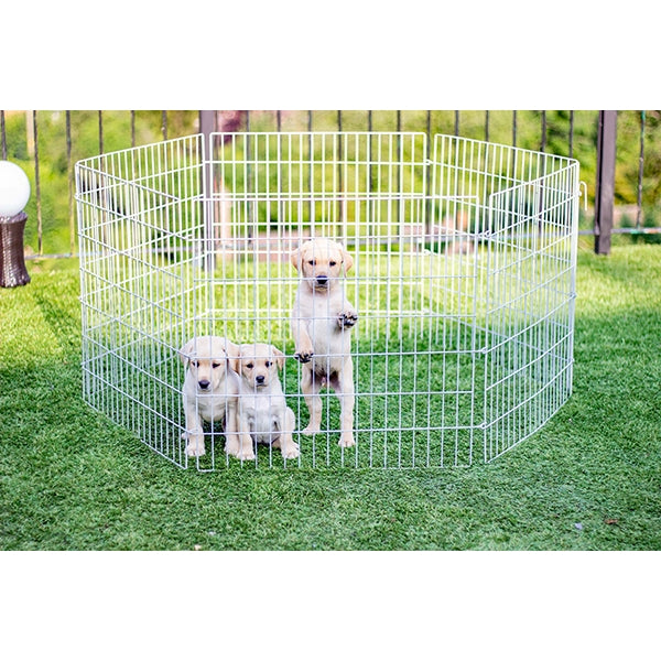 Puppies in Hexagon Play Pen outside