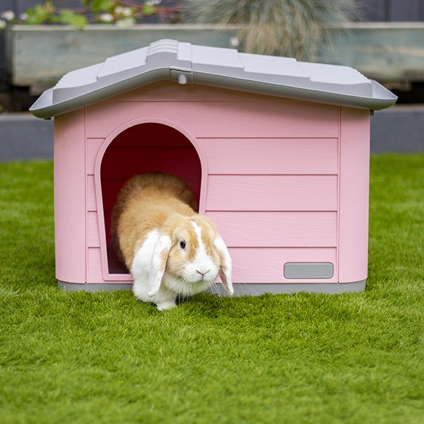 Rabbit exiting Knock-down Pet House in pink