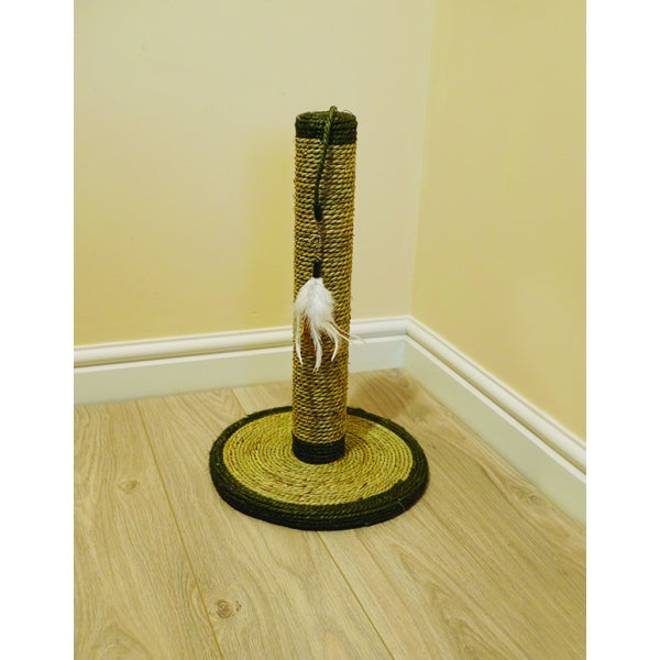 Saffron Cat Scratcher