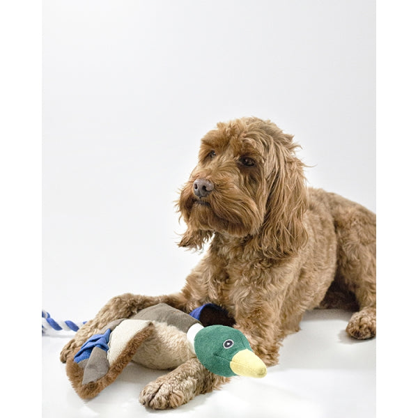Dog playing with Joules Plush Printed Blue Duck