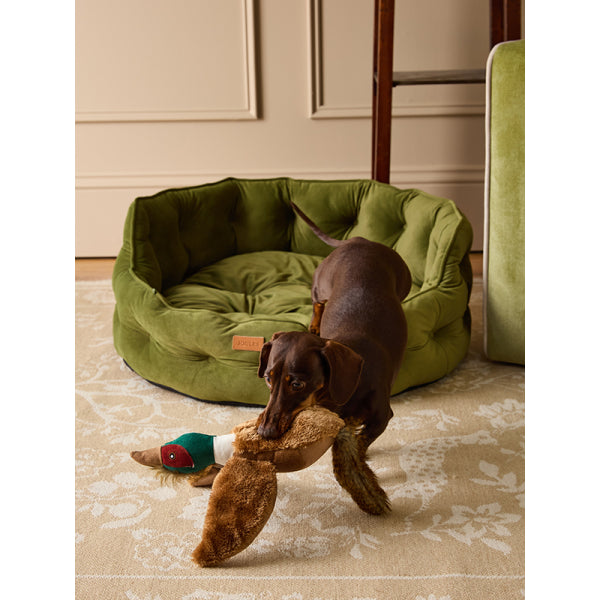 Dog with Joules Chesterfield Pet Bed in Khaki