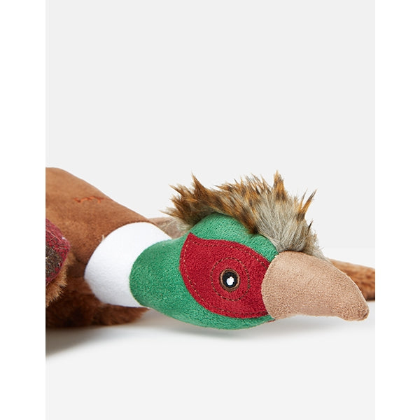 Close up of head of Joules Pheasant Dog Toy
