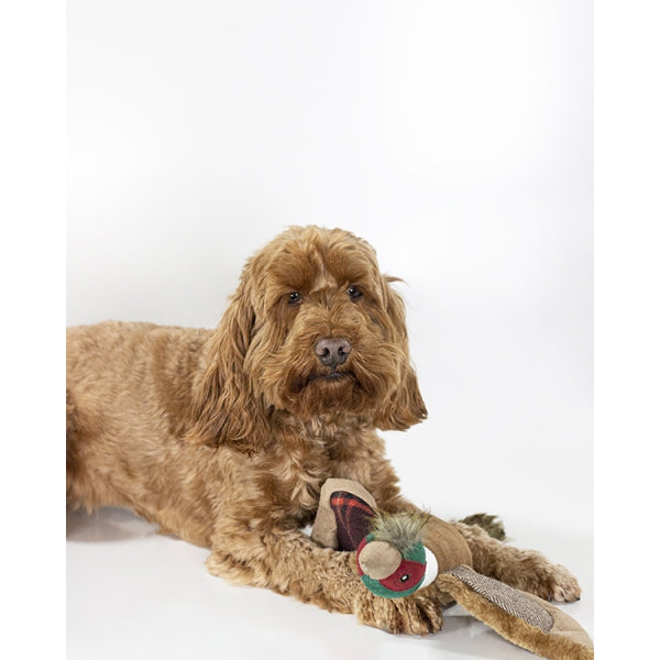 Dog with Joules Pheasant Dog Toy