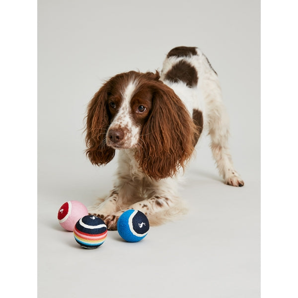 Dog playing with Joules Outdoor Balls 