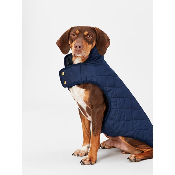 Larger dog sitting wearing Joules Quilted Dog Coat in Navy