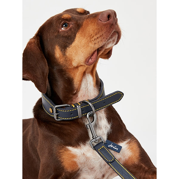 Close up of dog wearing Joules Leather Lead in Navy with matching collar