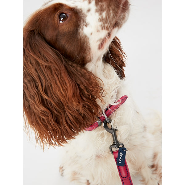 Close up of dog wearing Joules Leather Lead with matching collar