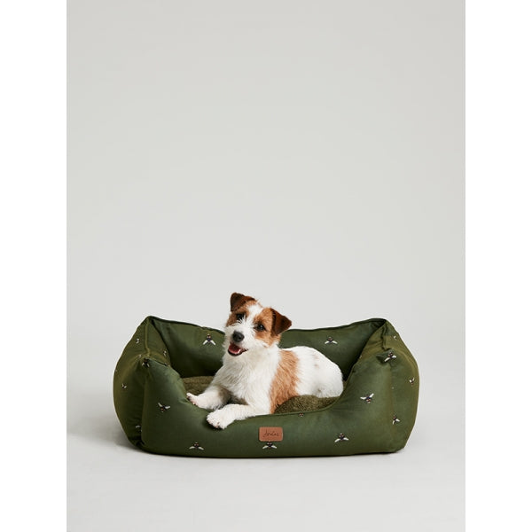 Dog in Joules Box Bed
