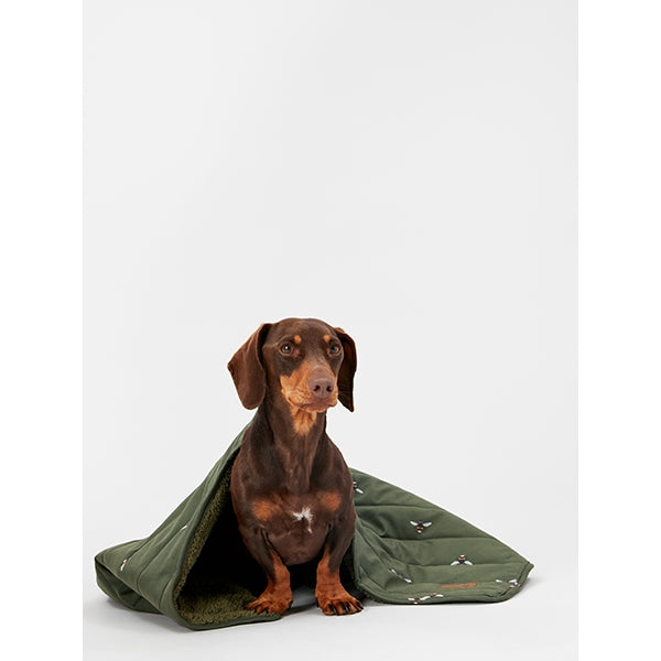 Dog under Joules Bee Print Blanket