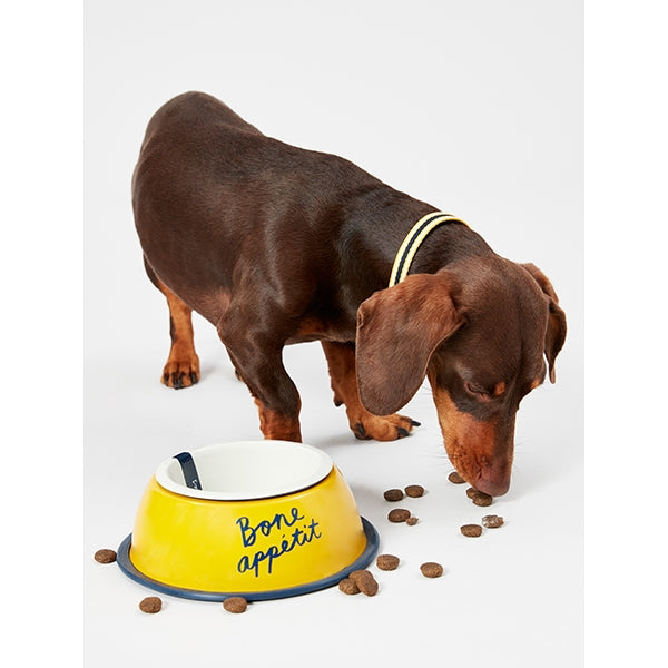 Dog eating next to Joules 'Bone Apetite' Dog Bowl