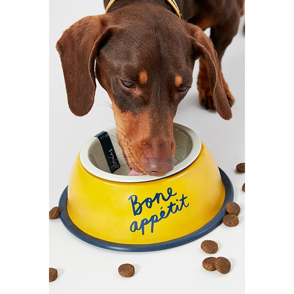 Close up of dog eating from Joules 'Bone Apetite' Dog Bowl