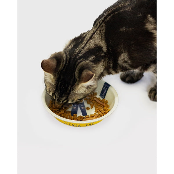 Close up of cat eating from Joules 'Clever Cat' Cat Bowl