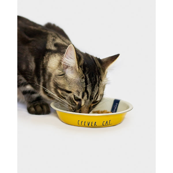 Cat eating from Joules 'Clever Cat' Cat Bowl