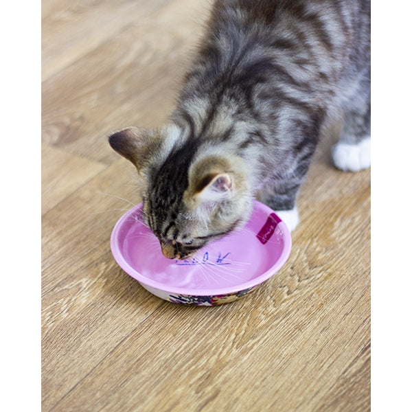 Kitten drinking from Joules Cambridge Floral Cat Bowl