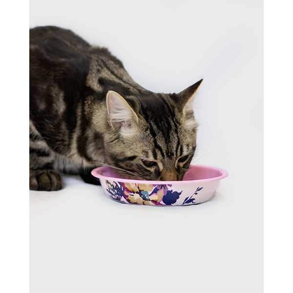 Cat eating fromJoules Cambridge Floral Cat Bowl